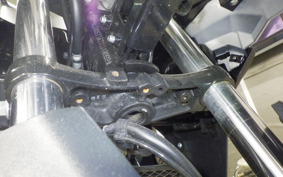 SUZUKI Vｽﾄﾛｰﾑ250A 2025