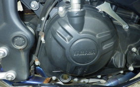 YAMAHA YZF-R25 RG43J