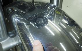 HARLEY FLSTFI1920 2025