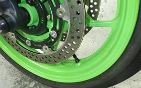 KAWASAKI ZX-4RR 2024 ZX400P