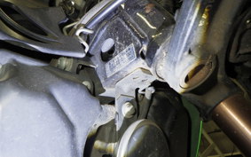 KAWASAKI Z125 PRO 2013 BR125H