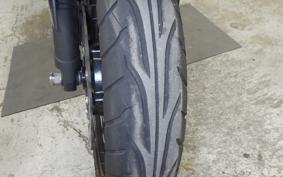 KAWASAKI NINJA 250 2021