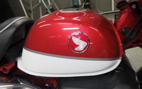 HONDA MONKEY 125 2024 JB02