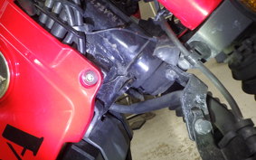 HONDA CT125 HUNTER CUB 2025