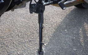 KAWASAKI NINJA 1000SX 2024