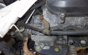 HONDA ZOOMER 1999 AF58