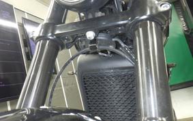 HARLEY XG750 STREET ROD 2019