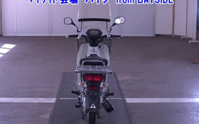 OTHER C110PU LOW 2