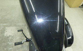 OTHER +HD. XL1200X 2014
