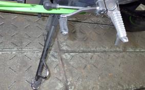 KAWASAKI NINJA 250 EX250L