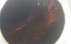 HARLEY FLSTF 1580 2008