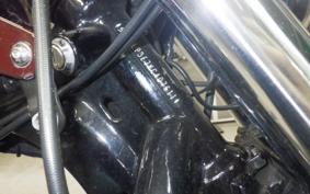 HARLEY XL1200NS 2019