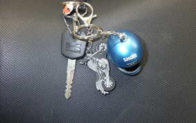 KAWASAKI NINJA 250R EX250K