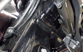 HARLEY FLTRXSE1980 2024