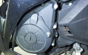 YAMAHA YZF-R25 2008 RG10J