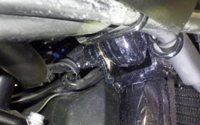 KAWASAKI Z900RS 2024 ZR900K