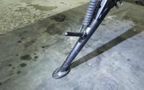 KAWASAKI Z900RS 2024 ZR900K