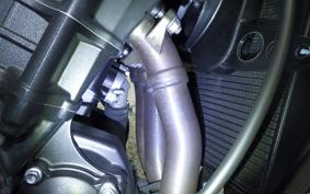 TRIUMPH STREET TRIPLE RS 2024