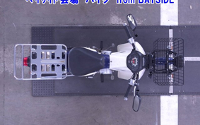 OTHER C110PU LOW 3
