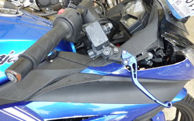 KAWASAKI NINJA 250 EX250L