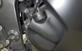 KAWASAKI NINJA 250R EX250K