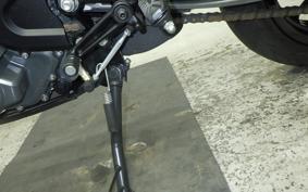 KTM 250 DUKE 2023