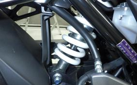 SUZUKI GSX250RA 2008