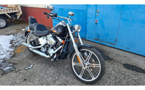 HARLEY FXSTC1340 2010 JL5