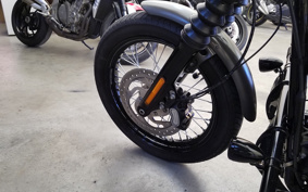 HARLEY FXBB 2019 YJJ