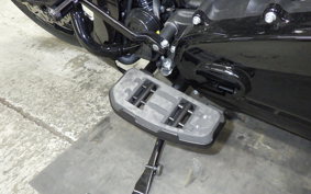 OTHER +HD. FLTRXSTSE1980CVO 2025