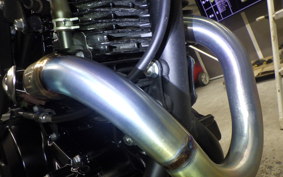 KAWASAKI KLX230 SM LX230A