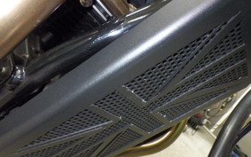 TRIUMPH SPEED TWIN 2019