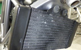 HONDA VTR 250 MC33