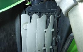 KAWASAKI KLX250 LX250E