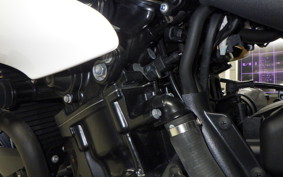 TRIUMPH SPEED TRIPLE 2013