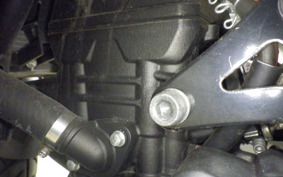 YAMAHA YZF-R25 2010 RG10J