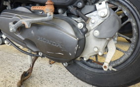 HONDA DUNK AF74