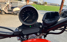 HARLEY XL883R 2009 CS2