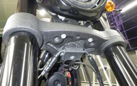 HARLEY FXLRS1920 2024