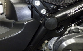 HONDA ZOOMER 2008 AF58