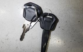 TRIUMPH TRIDENT 660 2025