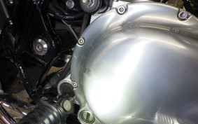 KAWASAKI W800 2020 EJ800B