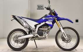 YAMAHA WR250R 2019 DG15J