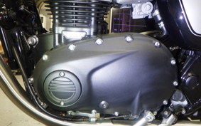 TRIUMPH BONNEVILLE T100 2025