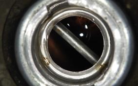 HONDA ZOOMER 2024 AF58