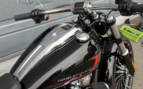 HARLEY FXBR 2024 YEZ
