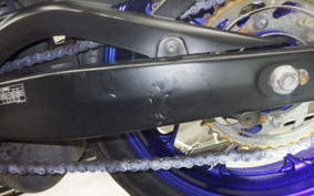 YAMAHA YZF-R25 2024 RG10J