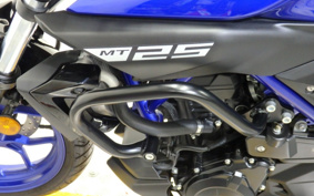 YAMAHA MT-25 RG43J