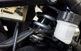 YAMAHA YZF-R3 2024 RH21J