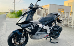 OTHER DERBI GP1 250 RACING VTHPT1A1A
